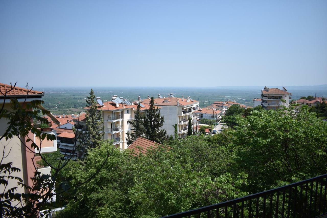 Small Apartment, Great View! Veria  Luaran gambar